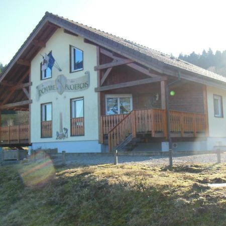 Chalet Du Bucheron Appartamento Gérardmer Esterno foto